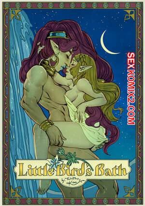 Порно комикс Зельда. Маленькие птицы. Little Birds Bath. WintonKidd Zelda. Порно комикс Зельда. Маленькие птицы. Little Birds Bath. WintonKidd Zelda.